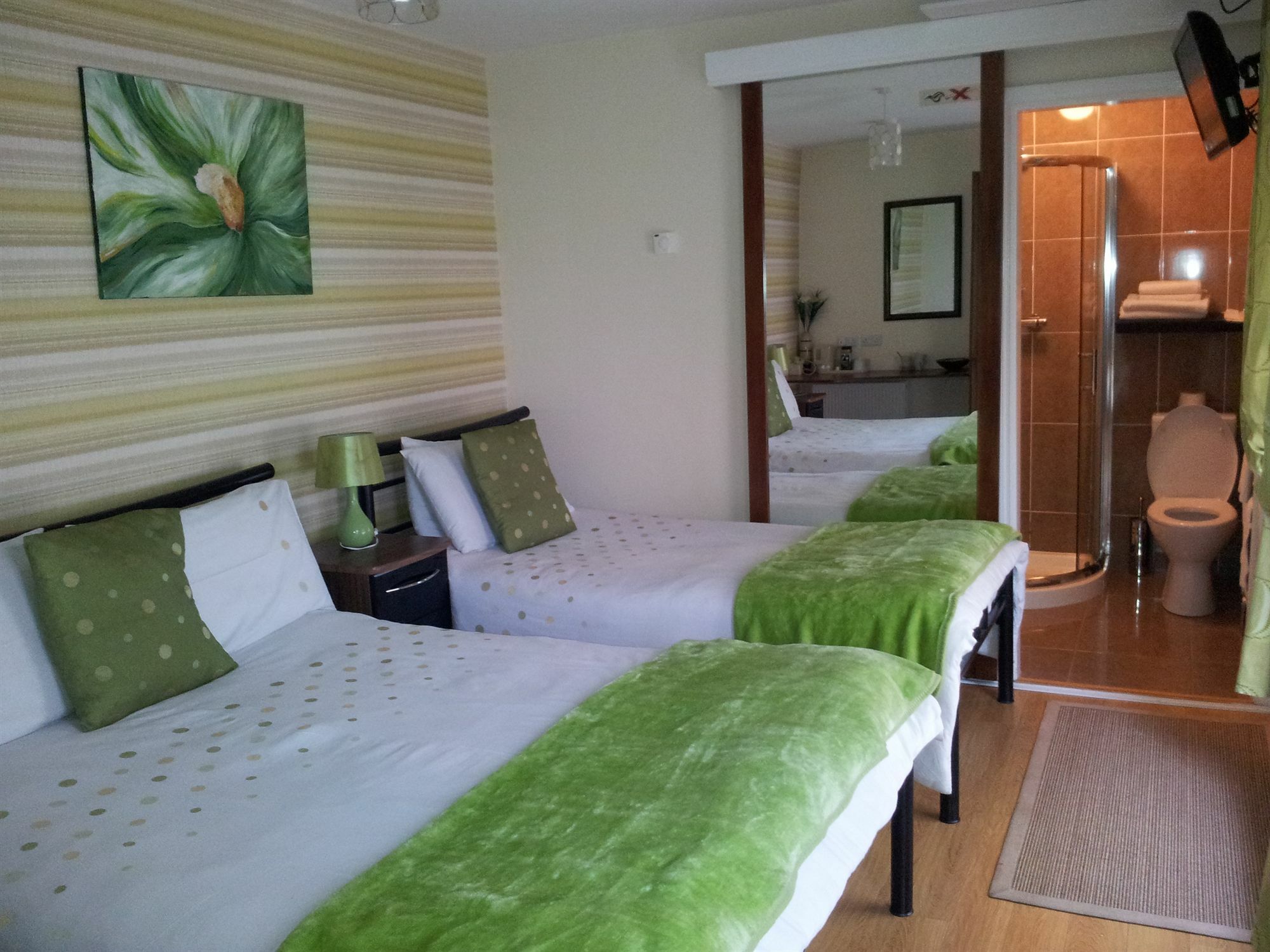 Bed and Breakfast Rose Park House Londonderry Exterior foto